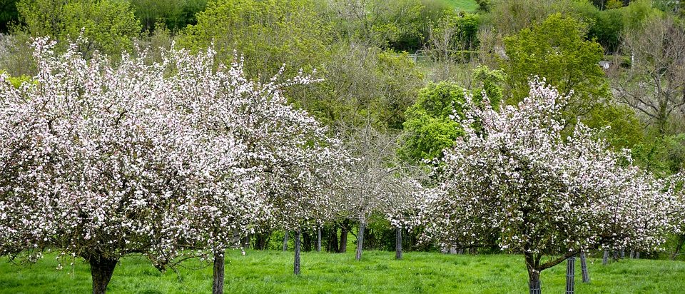 Préservation des terres agricoles  comment trouver des solutions